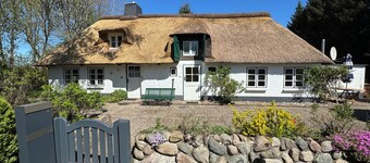 Stylish living under thatch
