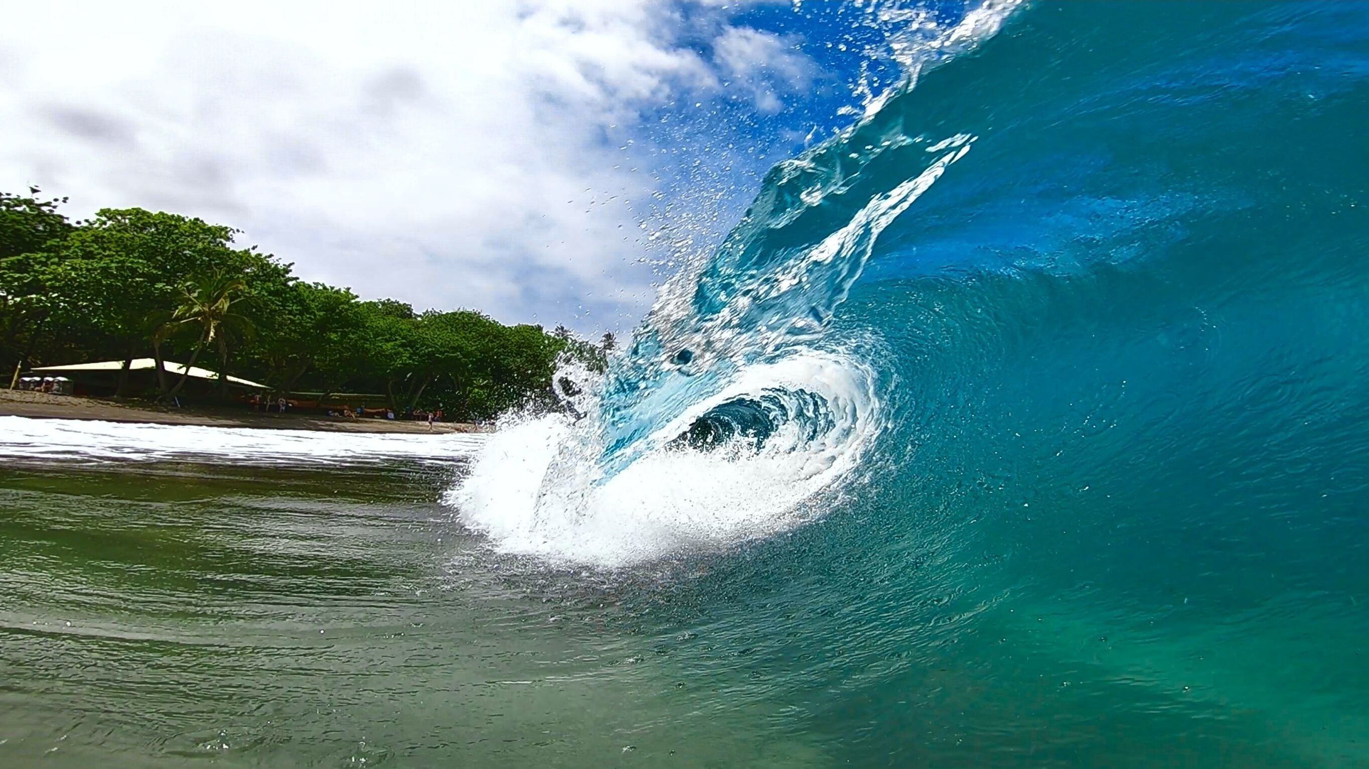 A large wave in the ocean with a beach and palm trees in the background.