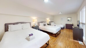 Klassiek appartement | Een strijkplank/strijkijzer, gratis wifi