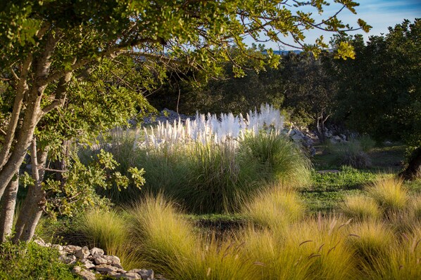 A natural landscape with trees, grasses, and a body of water. - Cosy country house with heatable swimming pool and sea view. (Faro)