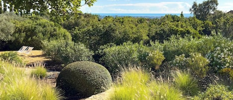 A landscaped garden with a stone pathway, a spherical hedge, and a view of the sea.
