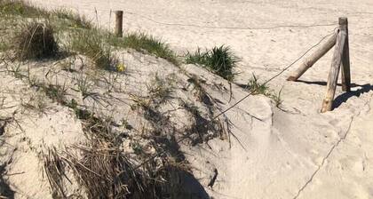 Thatched vacation home directly on the Baltic Sea