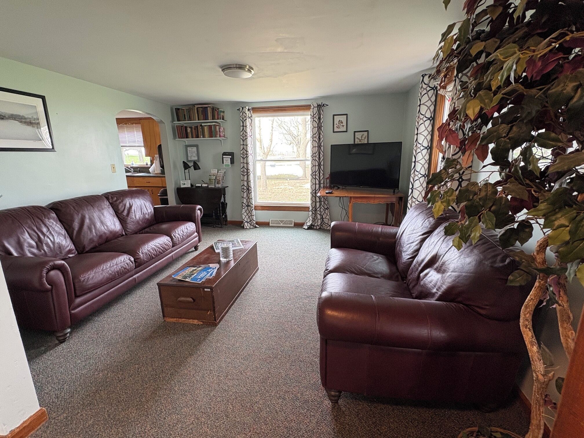 Televisión y libros 