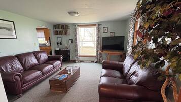 Televisión y libros