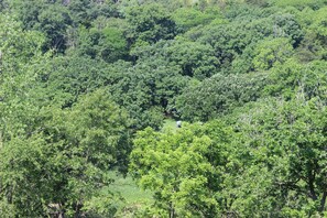 Unclassified image, 3 of 7, button - 805 River Cabin at Whiterock Conservancy (Coon Rapids)