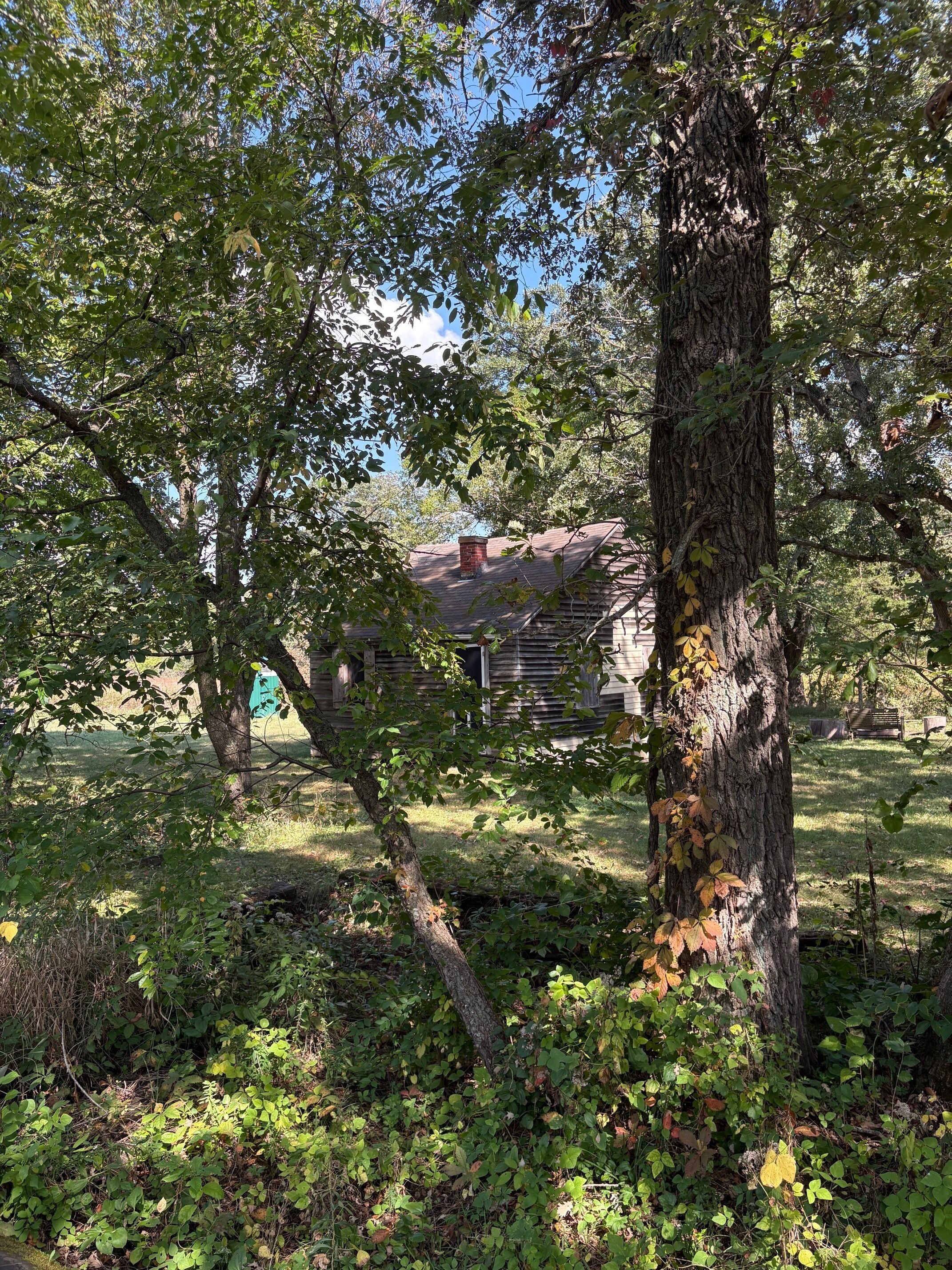 Terrain de l’hébergement 