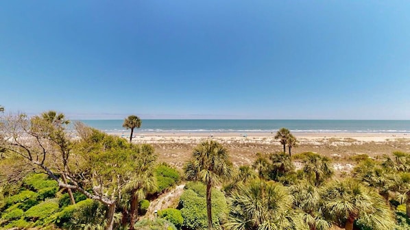 A beach with palm trees and a clear sky.