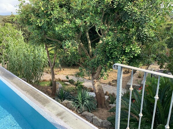 Jardines del alojamiento