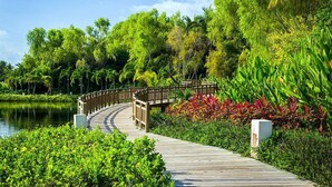 A wooden boardwalk leading to a bridge over a body of water, surrounded by lush greenery and tropical plants.