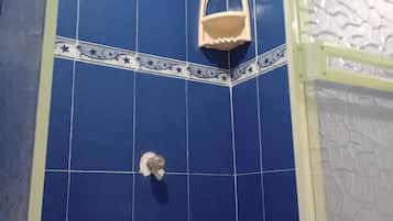 Chambre, 1 chambre, accessible aux personnes à mobilité réduite, fumeurs | Salle de bain | Douche
