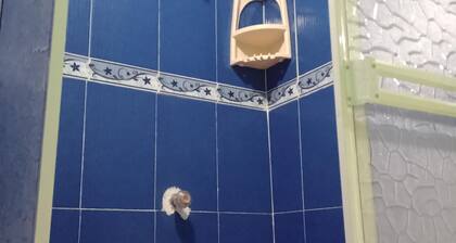 Room-green Sea Inn, San Luis With View o