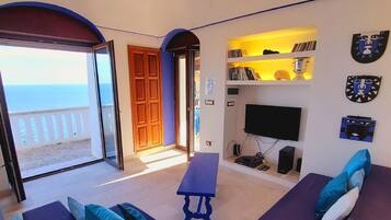 Télévision, cheminée, lecteur de DVD, chaßne hi-fi