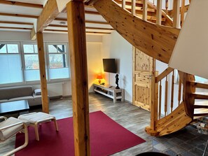 TV, fireplace, DVD player, books