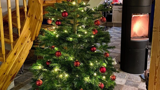 A decorated Christmas tree in a wooden interior space with a fireplace. - Blue House - arrive and feel at home (Hülseburg)
