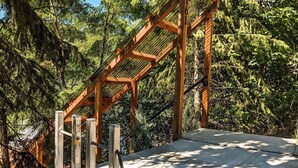 A wooden staircase leading up to a platform surrounded by dense forest. - Lakefront Hideaway w/ beautiful views, quiet area, private lake access & dock! (Christina Lake)