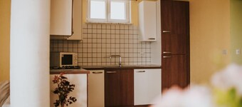 Holiday apartment Ravni for 1 - 4 persons with 1 bedroom - Holiday house