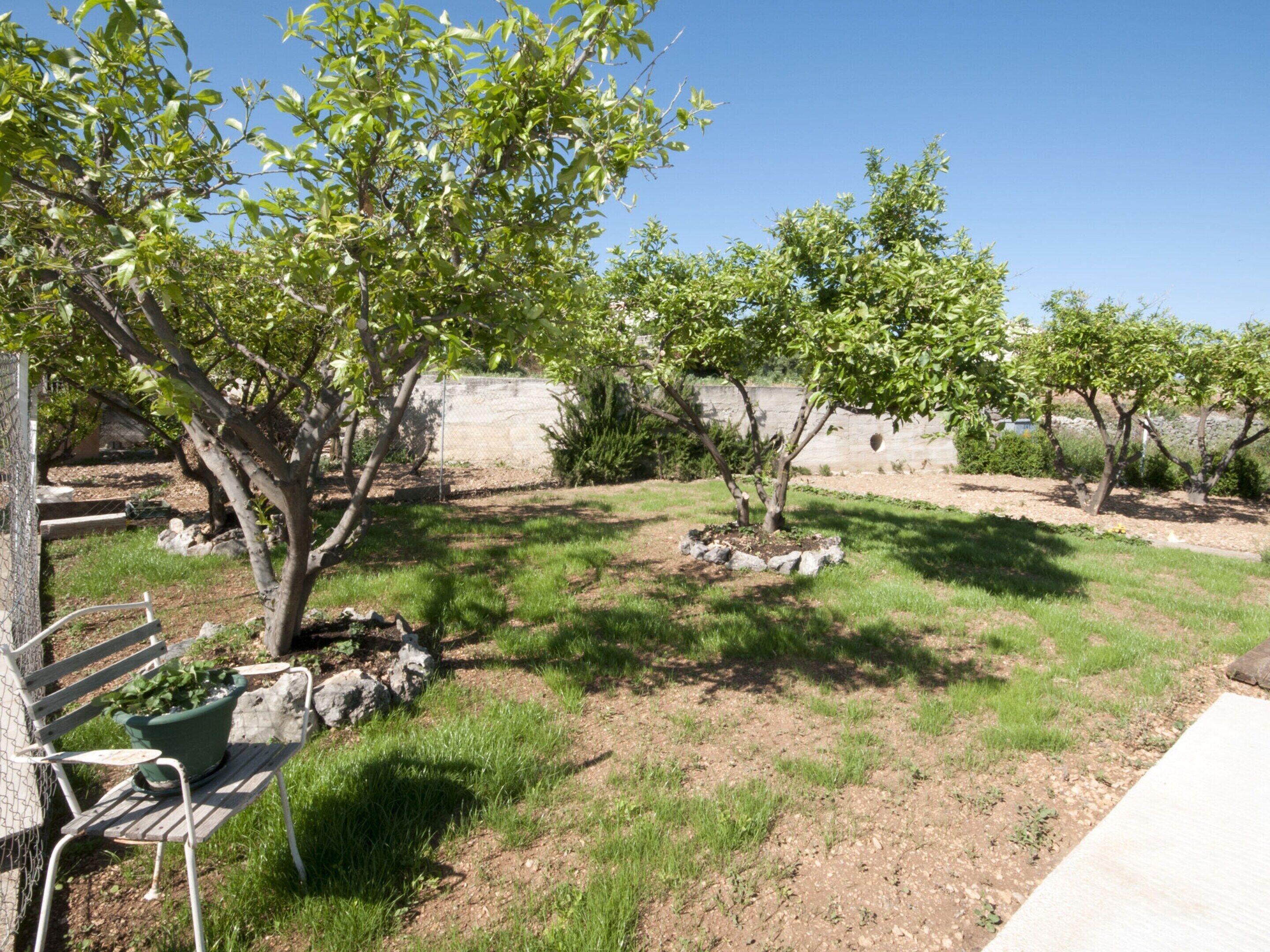 A garden with trees, a bench, and a stone wall.