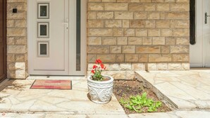 Une façade en pierre avec une porte, une petite fenêtre ornée de plantes et un pot de fleurs avec des fleurs rouges.