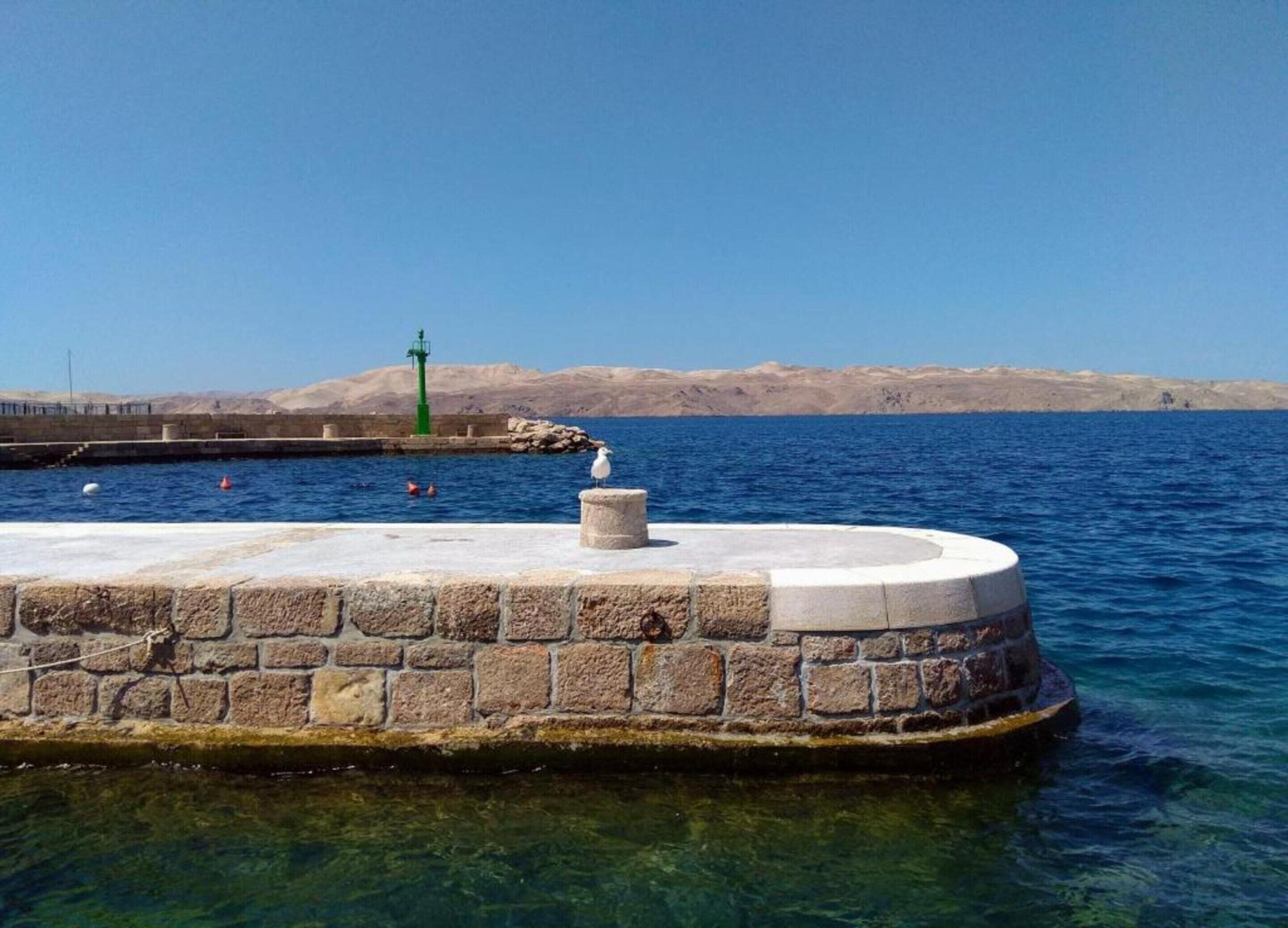 A stone pier extending into a clear blue sea, with a lighthouse in the background and a seagull on the pier.