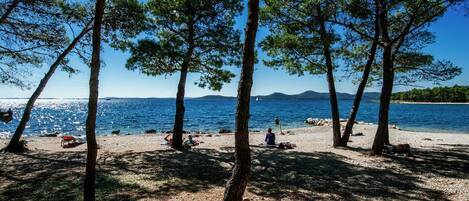 House | View from property