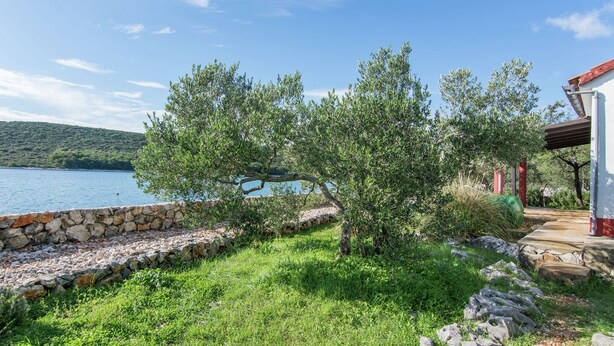 Property grounds - Former Fisherman's House on Pasman Island (Pasman)