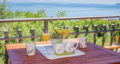 Beautiful Villa With sea View and Pool Located Near Opatija