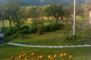 House | Interior detail