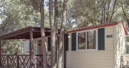 Comfortable Chalet With AC in Natural Green Surroundings