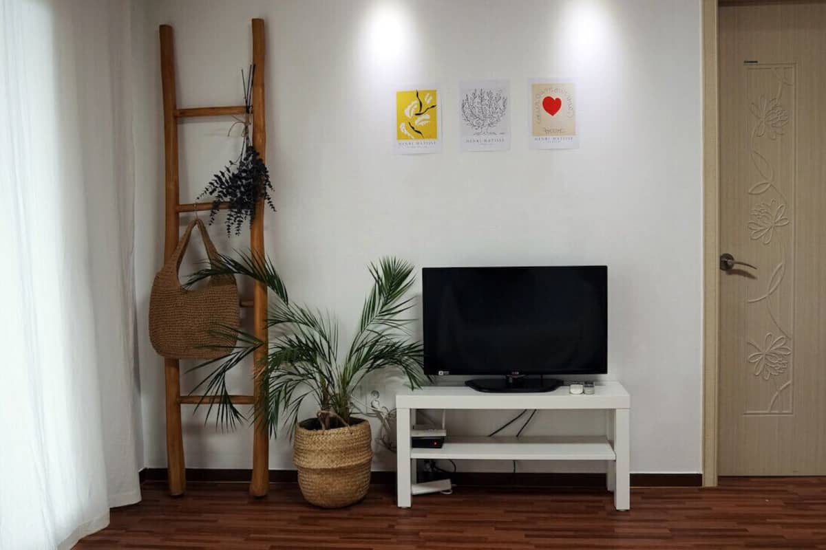 FamilyRoom 'DOUBLE' | Television