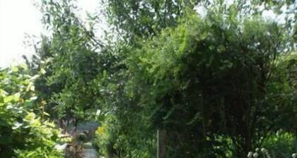 Cosy holiday house with a terrace