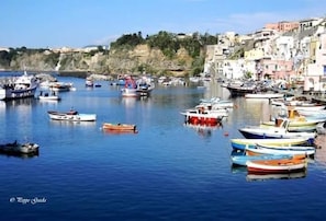 Jachthaven