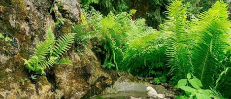 Overnatningsstedets område