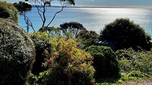 Eine Küstenlandschaft mit freiem Blick auf das Meer, umgeben von üppigem Grün und einem markanten Baum.