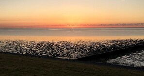 Niet-geclassificeerde afbeelding, 2 van 16, knop