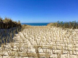 Playa en los alrededores