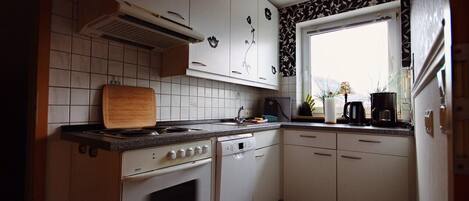 Fridge, oven, stovetop, dishwasher