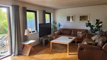 Fernseher, Stereoanlage