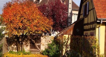 Holiday house Horbourg Wihr for 1 - 4 persons with 2 bedrooms - Holiday house