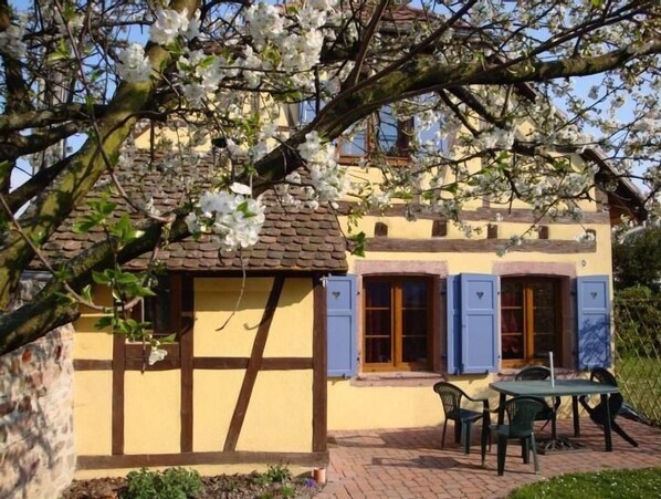 Outdoor dining - Gite "Sonneblüem un Pfefferminz" (Horbourg Wihr)