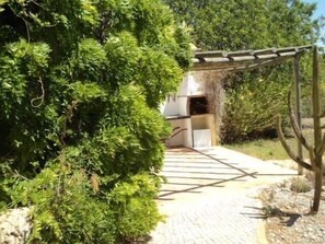 Pathway leads to a modern building with a covered entrance.