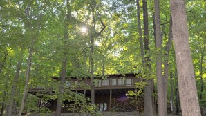 Une cabane en bois dotée d’une terrasse, entourée d’une forêt dense.