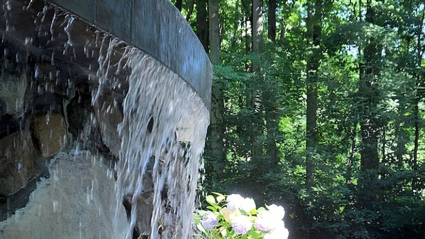 A stone waterfall leading to a pool surrounded by lush greenery. - Almost Heaven - Cozy and Wonderful (Berkeley Springs)