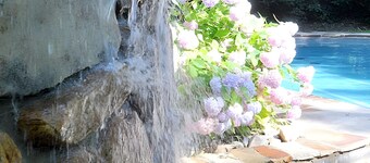 Almost Heaven - Cozy and Wonderful