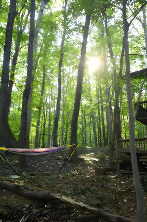 Exterior - Autumn Wings - A Natural Retreat (Berkeley Springs)