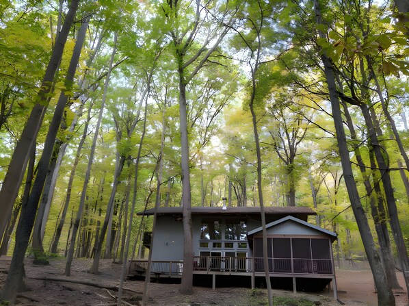 A cabin in a forest with a deck and large windows.