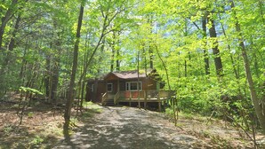 Une cabane entourée d’une forêt dense, avec un chemin de gravier menant à celle-ci.