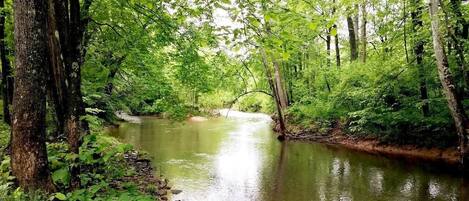 House, Multiple Beds (Cabin at Sleepy Creek - Charming Cabi) | Property grounds