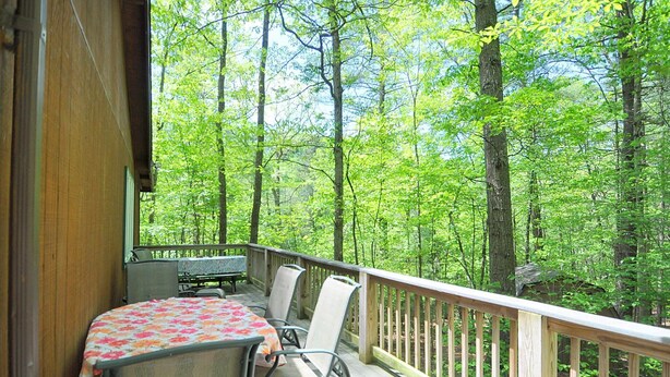 Une terrasse en bois avec une table et des chaises, donnant sur une forêt dense.