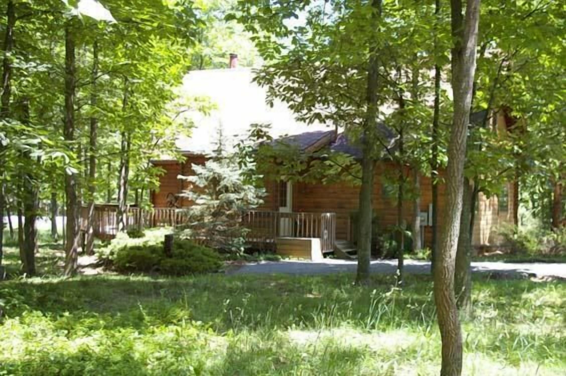 A rustic cabin surrounded by dense trees.