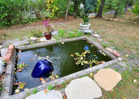 House, Multiple Beds (Manor at Berkeley Springs) | Property grounds